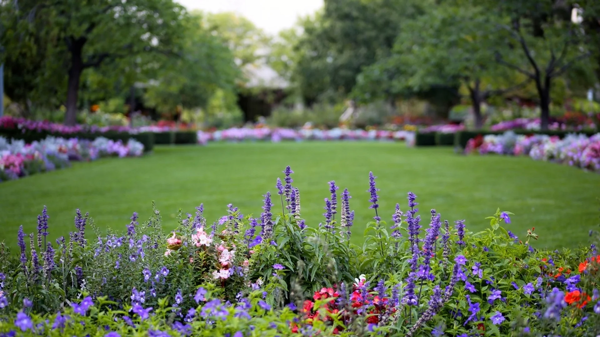 Jardin paysager avec terrasse aménagé par Paysages Lefèvre en Alsace