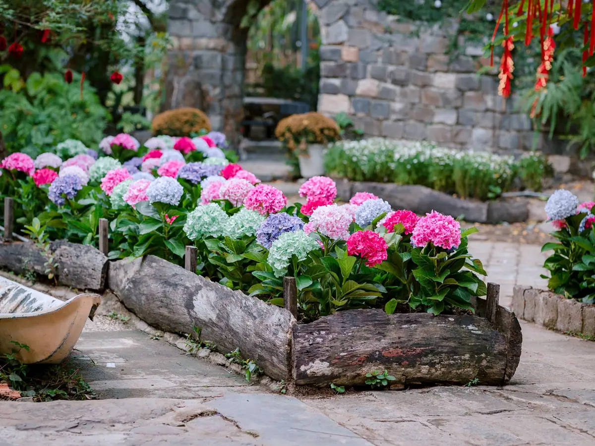 Massif fleuri avec rocaille aménagé dans un jardin à Obernai